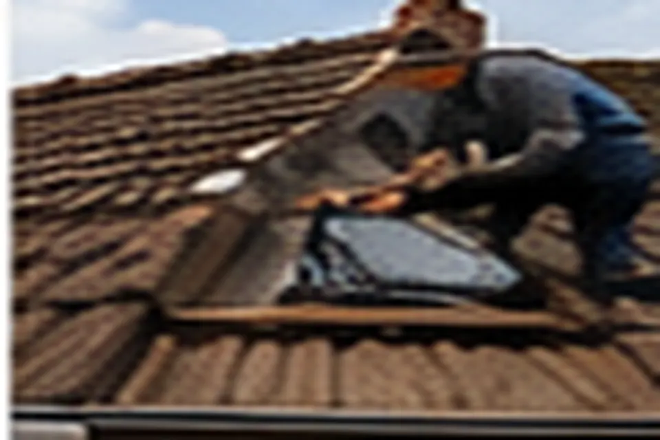Inspection professionnelle d'une toiture