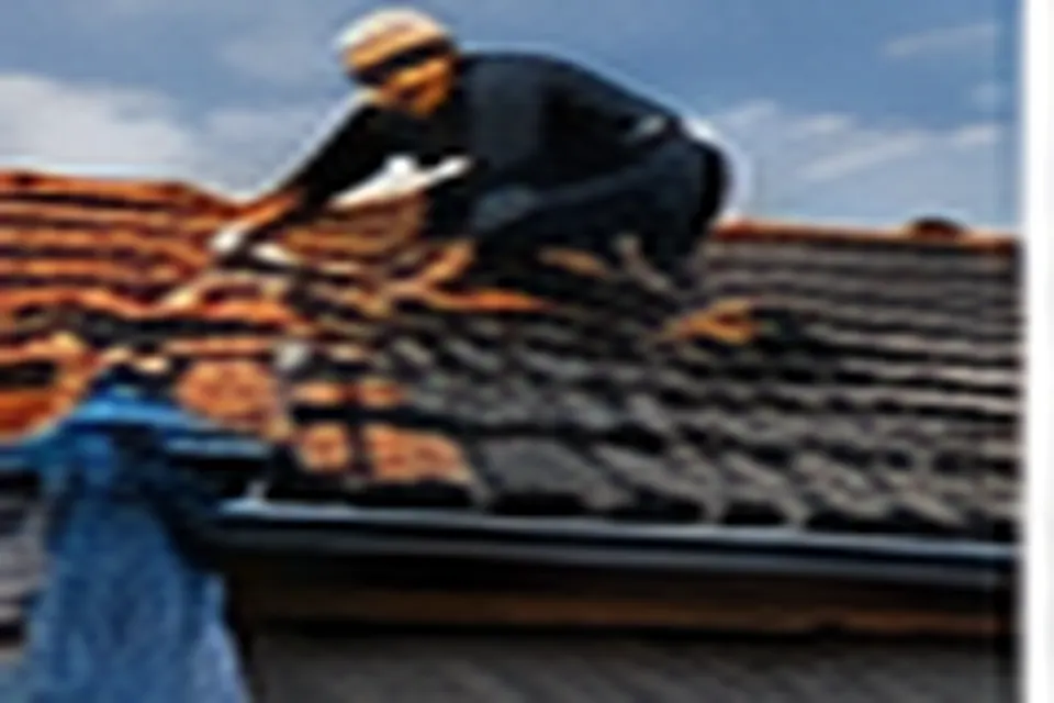 Maison avec toiture rénovée